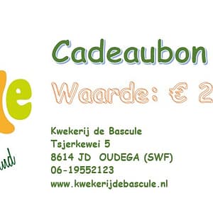 Cadeaubon twintig euro