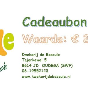 Cadeaubon vijfentwintig euro