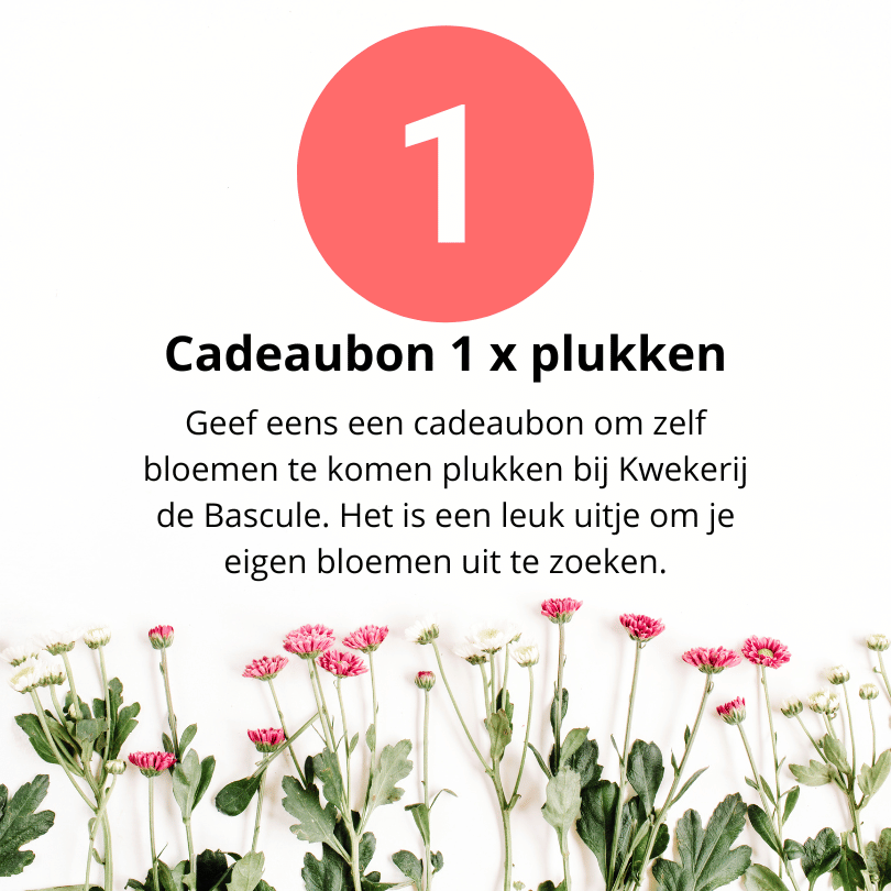 Cadeaubon 1x plukken